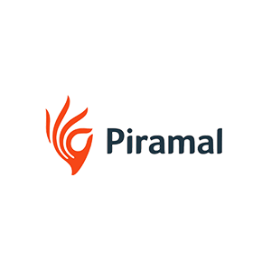 manufacturer partners